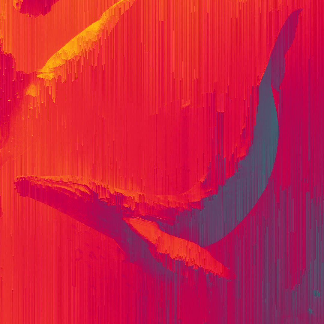 WHALES_4